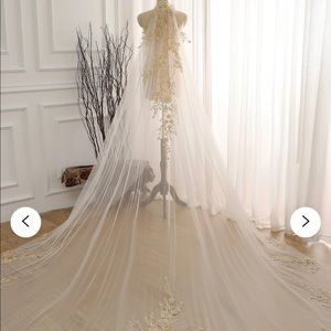 Ivory veil with gold leaf appliqué